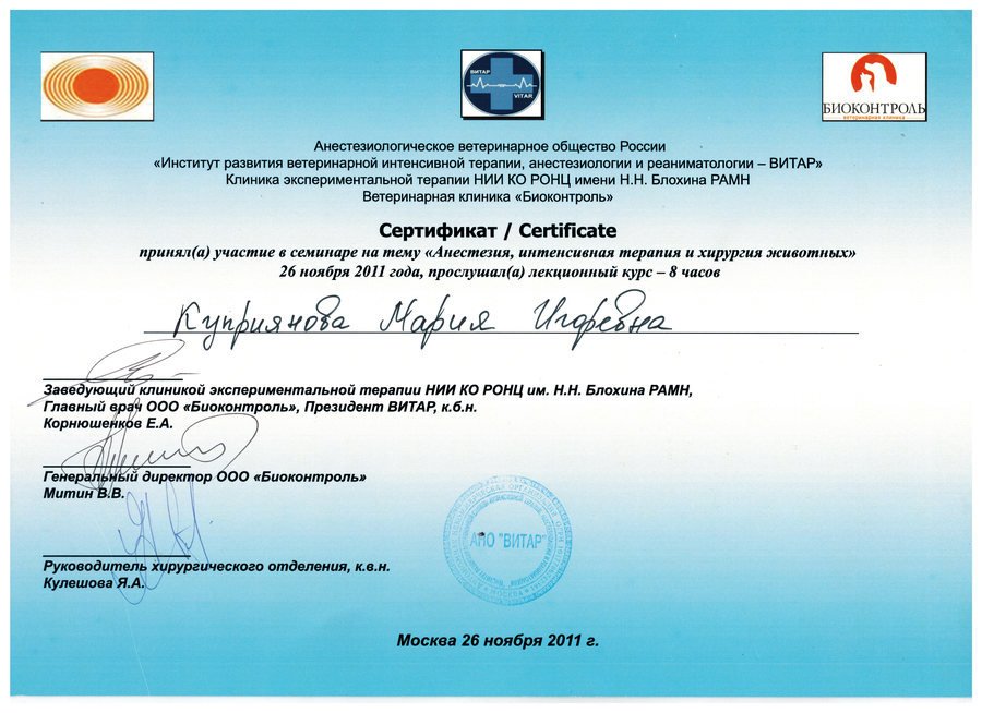 Документ или сертификат