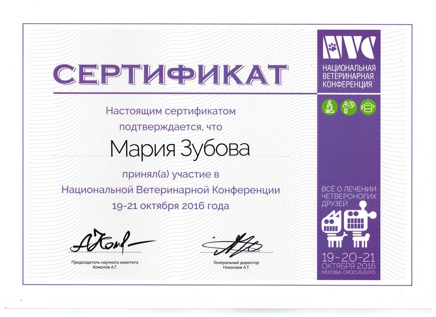 Документ или сертификат