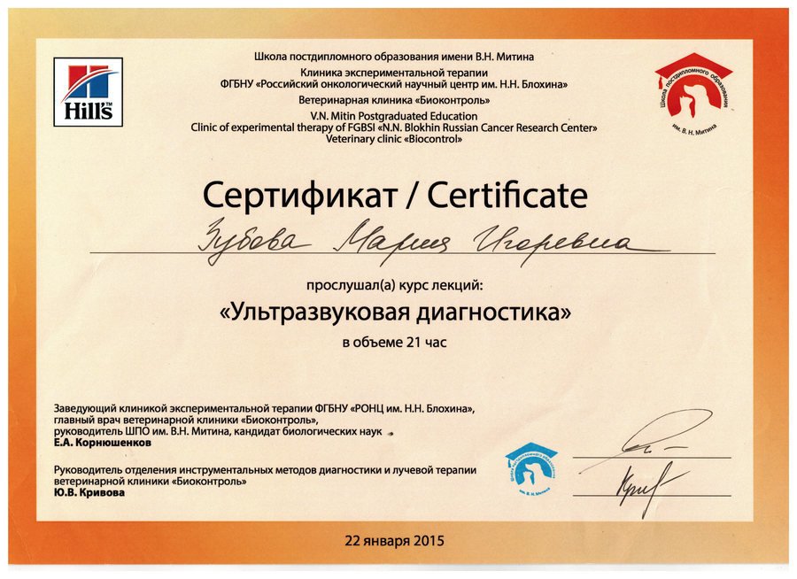 Документ или сертификат