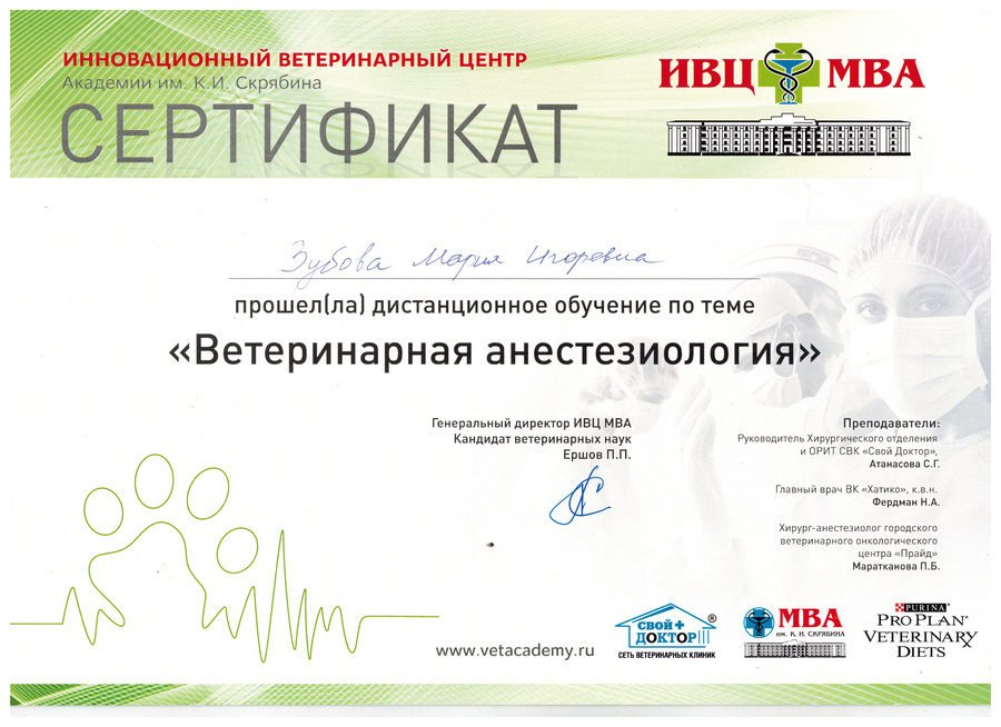 Документ или сертификат