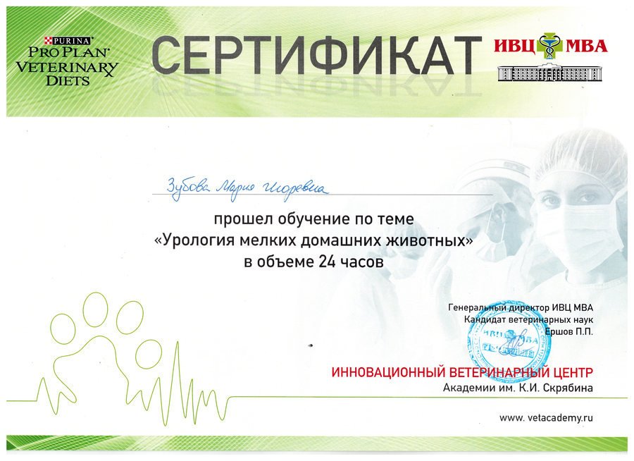 Документ или сертификат