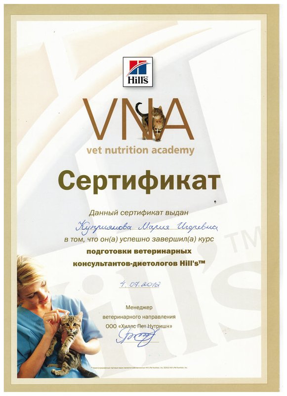 Документ или сертификат