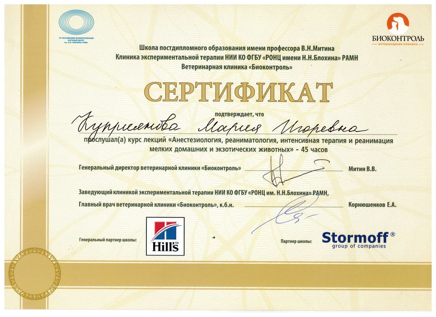 Документ или сертификат