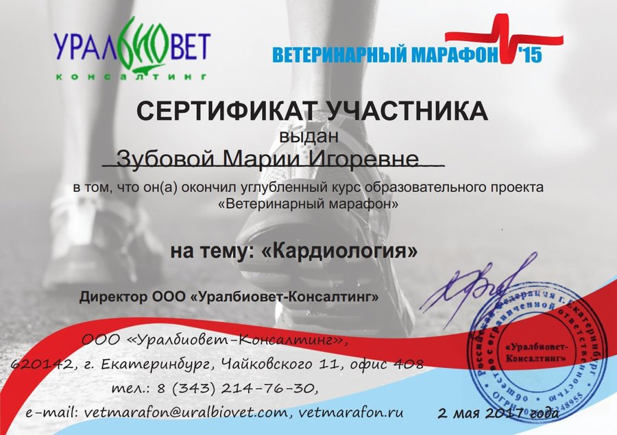 Документ или сертификат