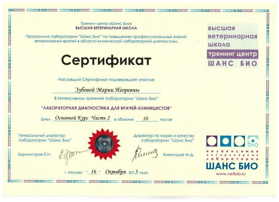 Документ или сертификат