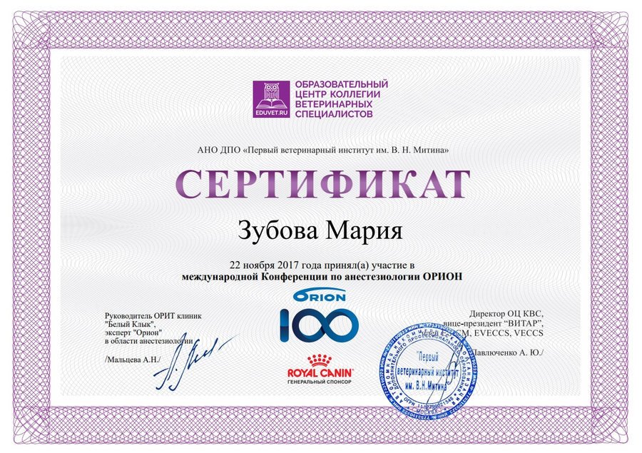 Документ или сертификат