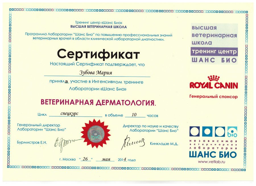 Документ или сертификат