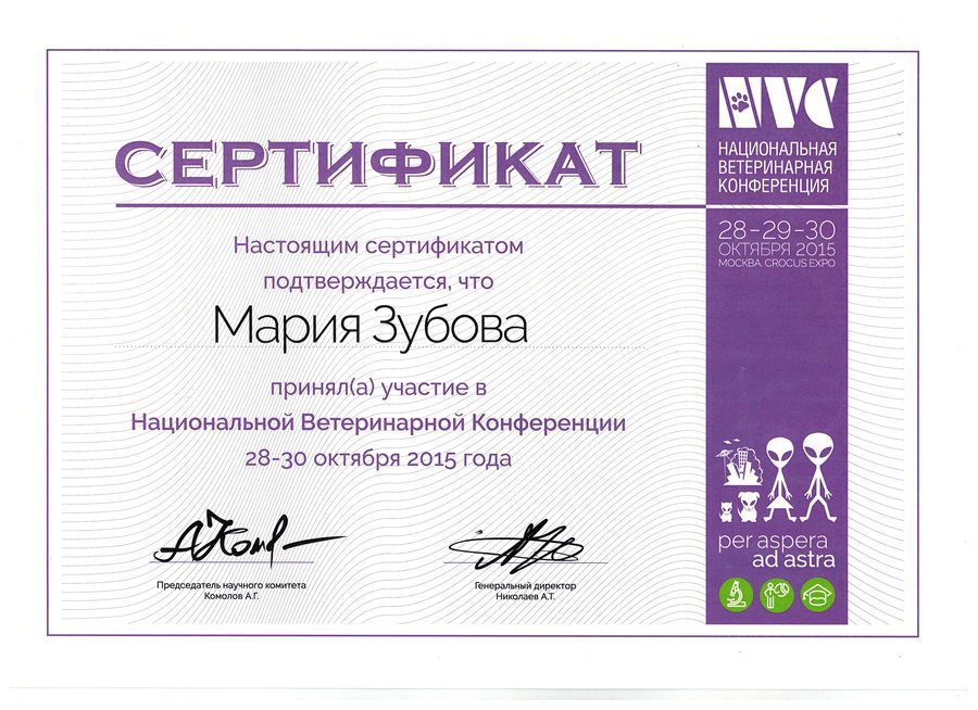 Документ или сертификат