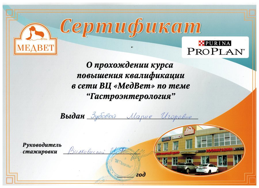 Документ или сертификат