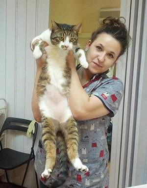 Фото врача Чечулина Дарья Александровна