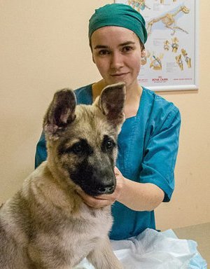 Фото врача Ефимова Светлана Александровна