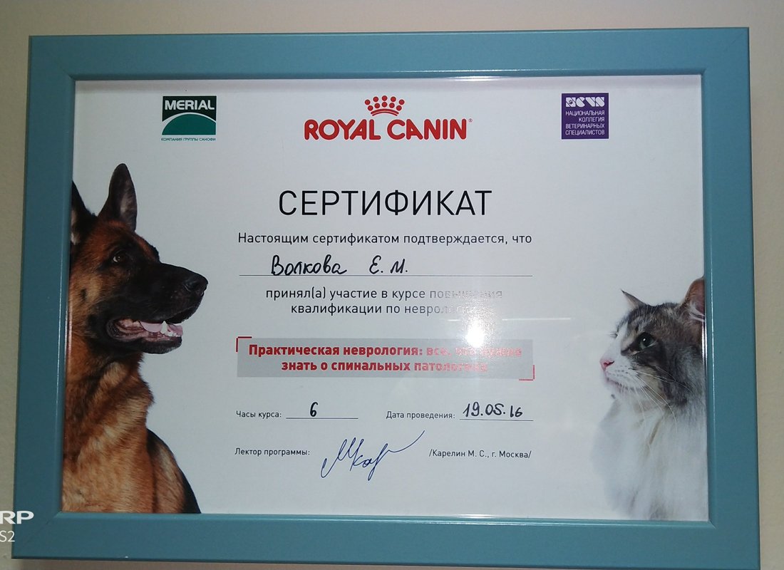 Документ или сертификат