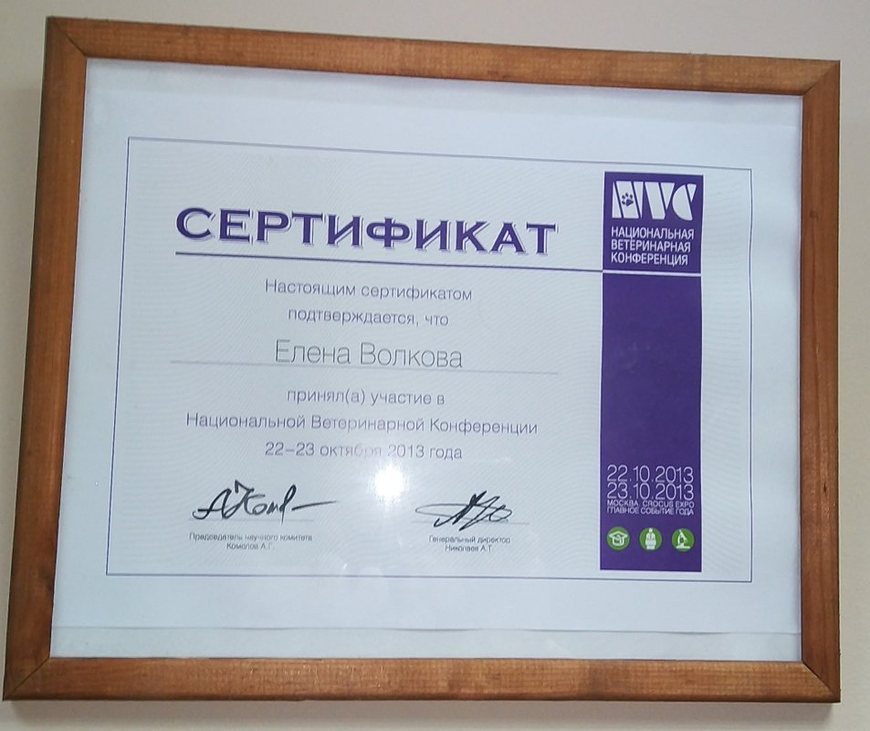 Документ или сертификат