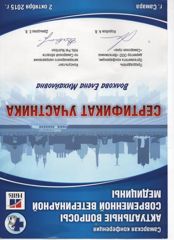 Документ или сертификат