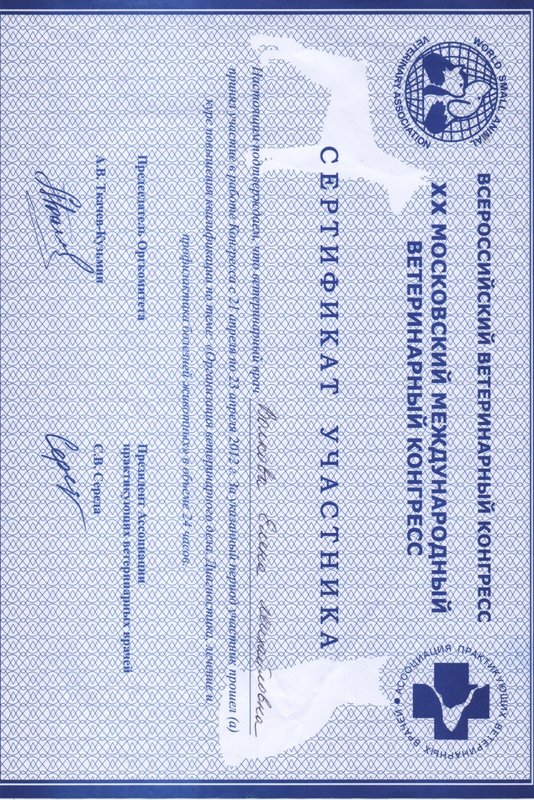 Документ или сертификат