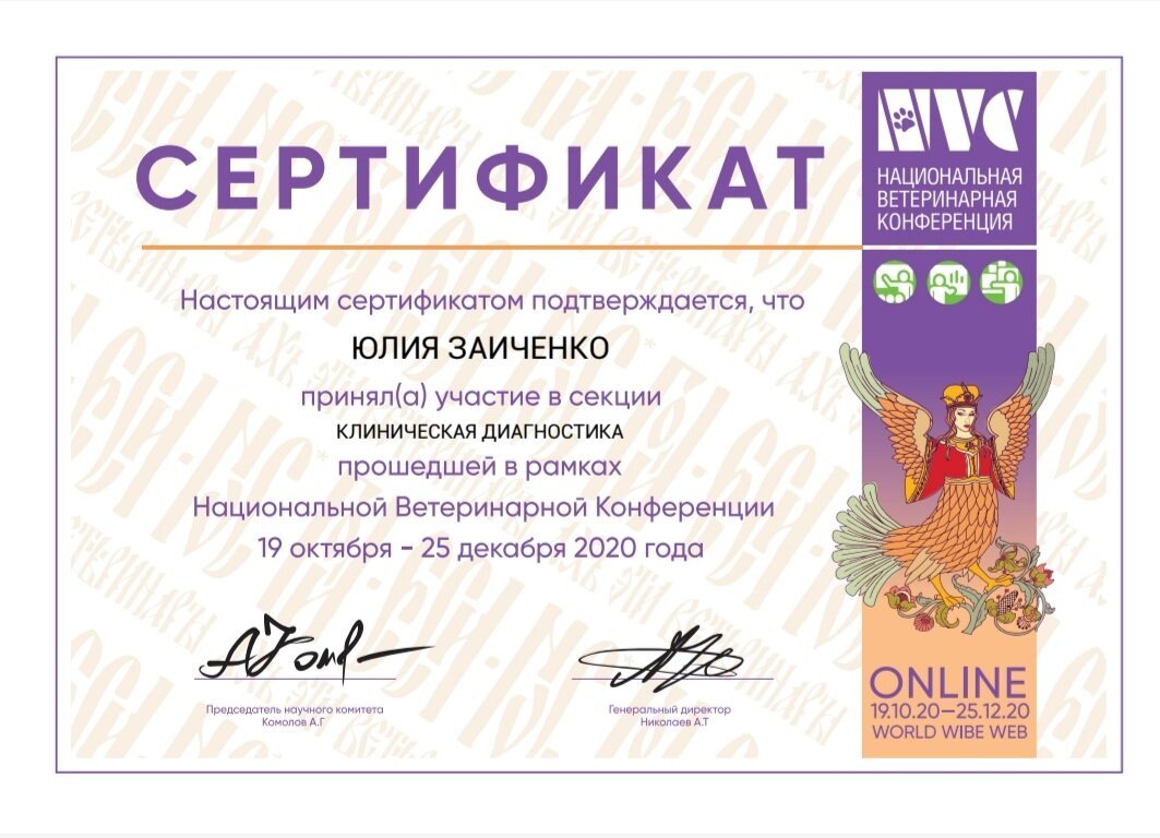 Документ или сертификат