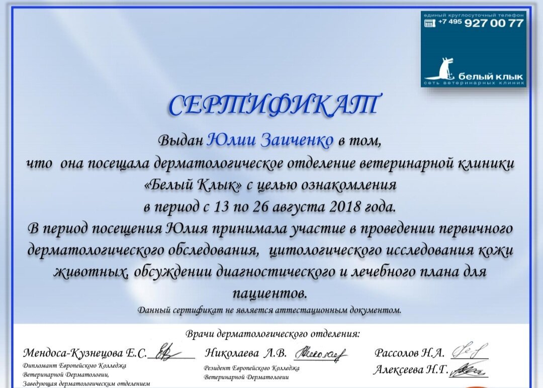 Документ или сертификат