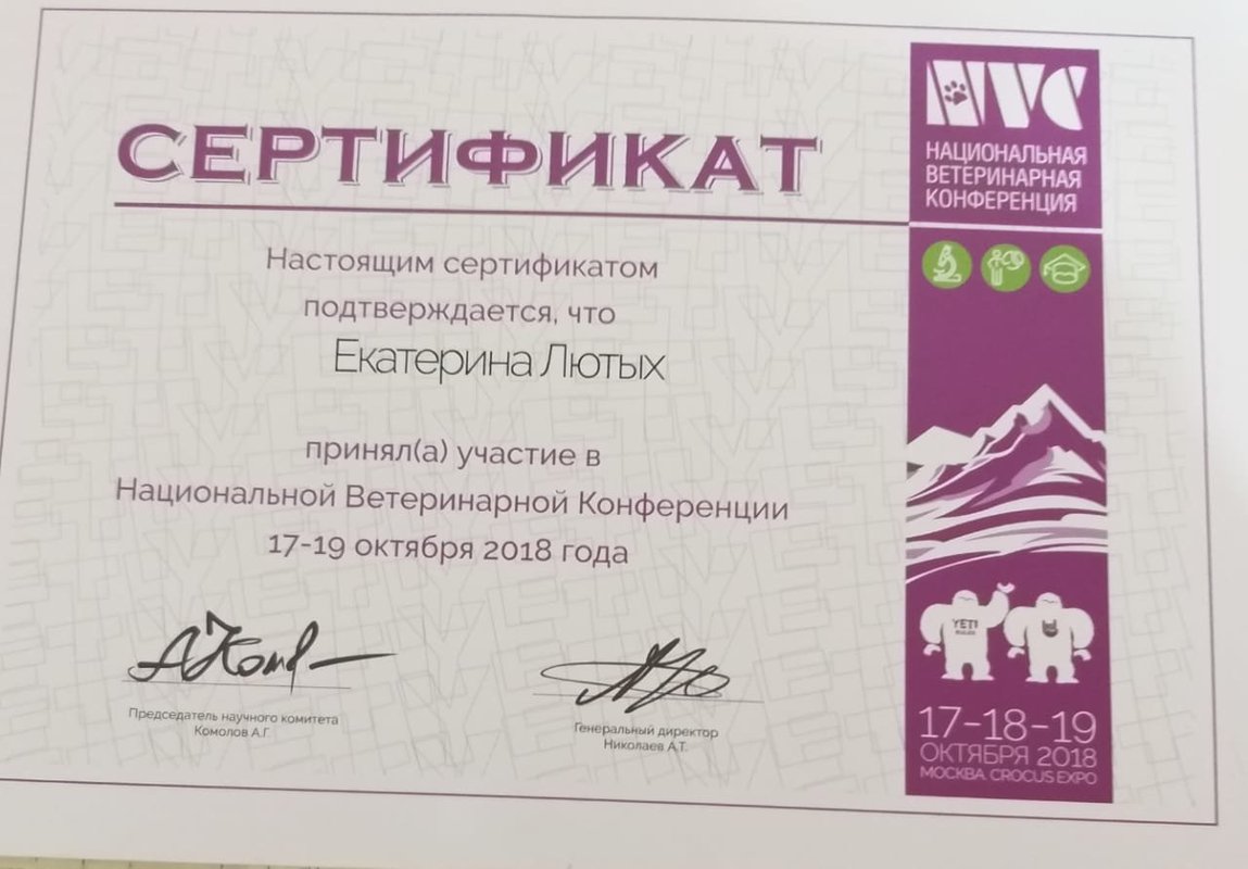 Документ или сертификат