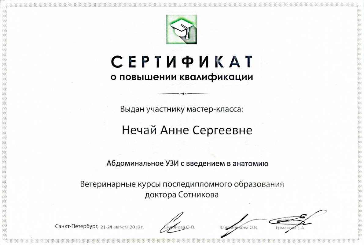 Документ или сертификат