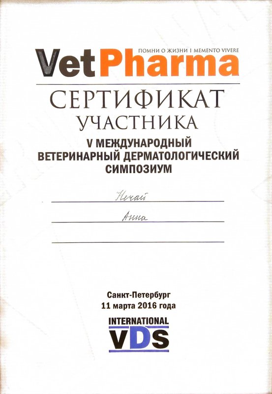 Документ или сертификат