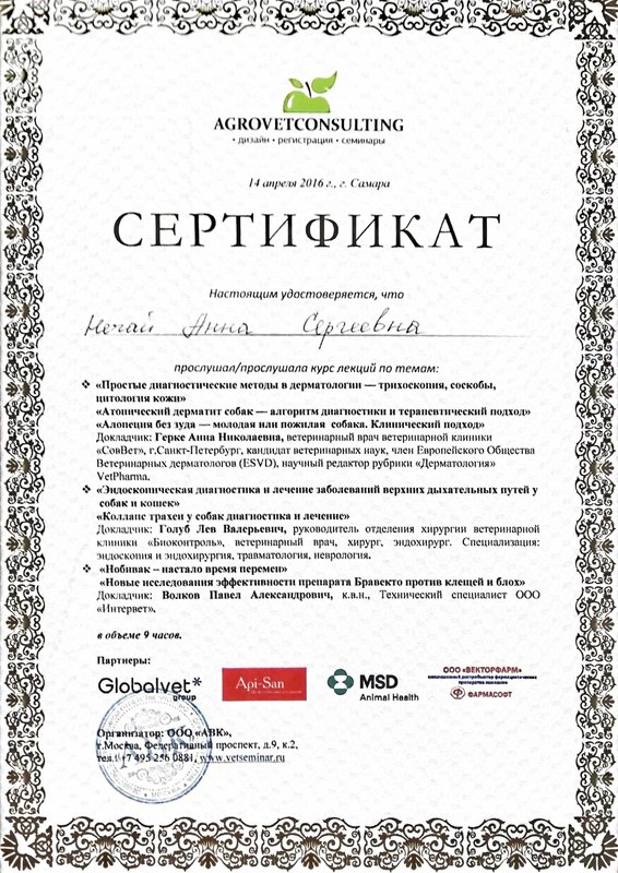 Документ или сертификат