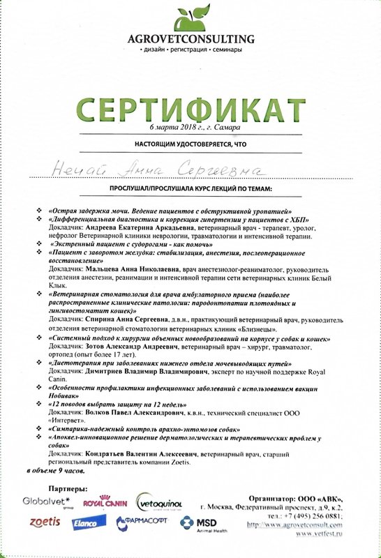 Документ или сертификат