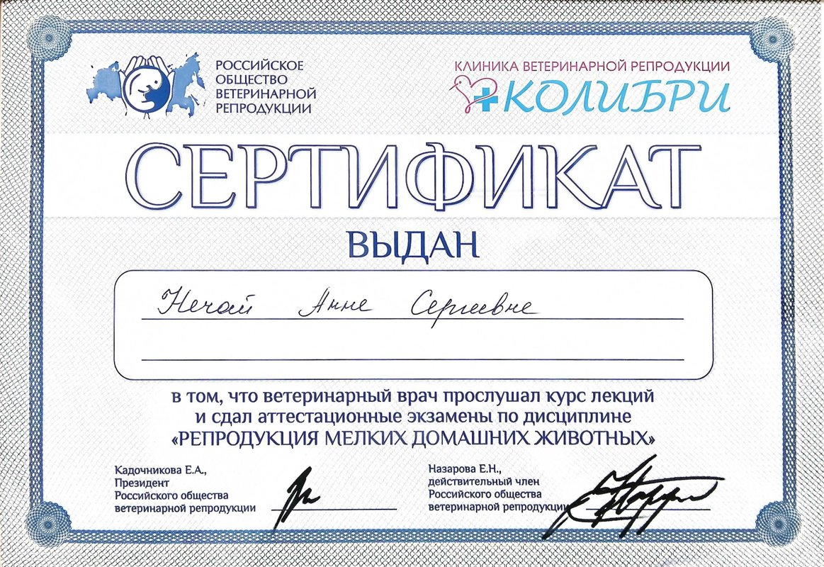 Документ или сертификат