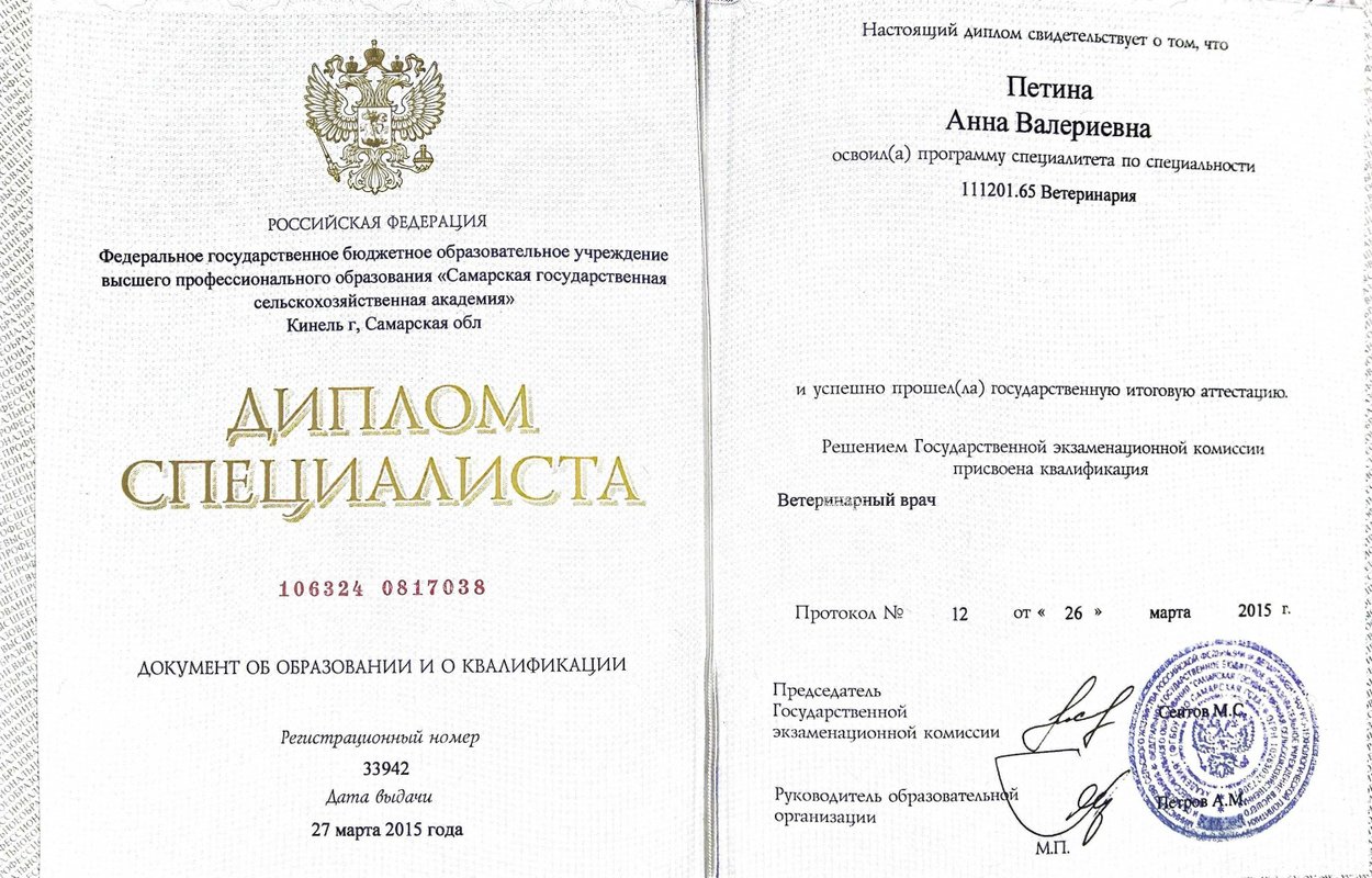 Документ или сертификат