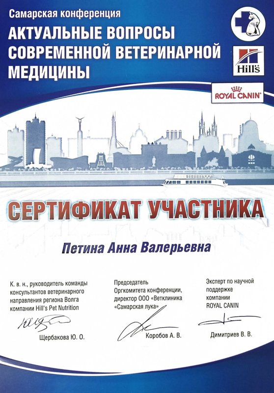 Документ или сертификат