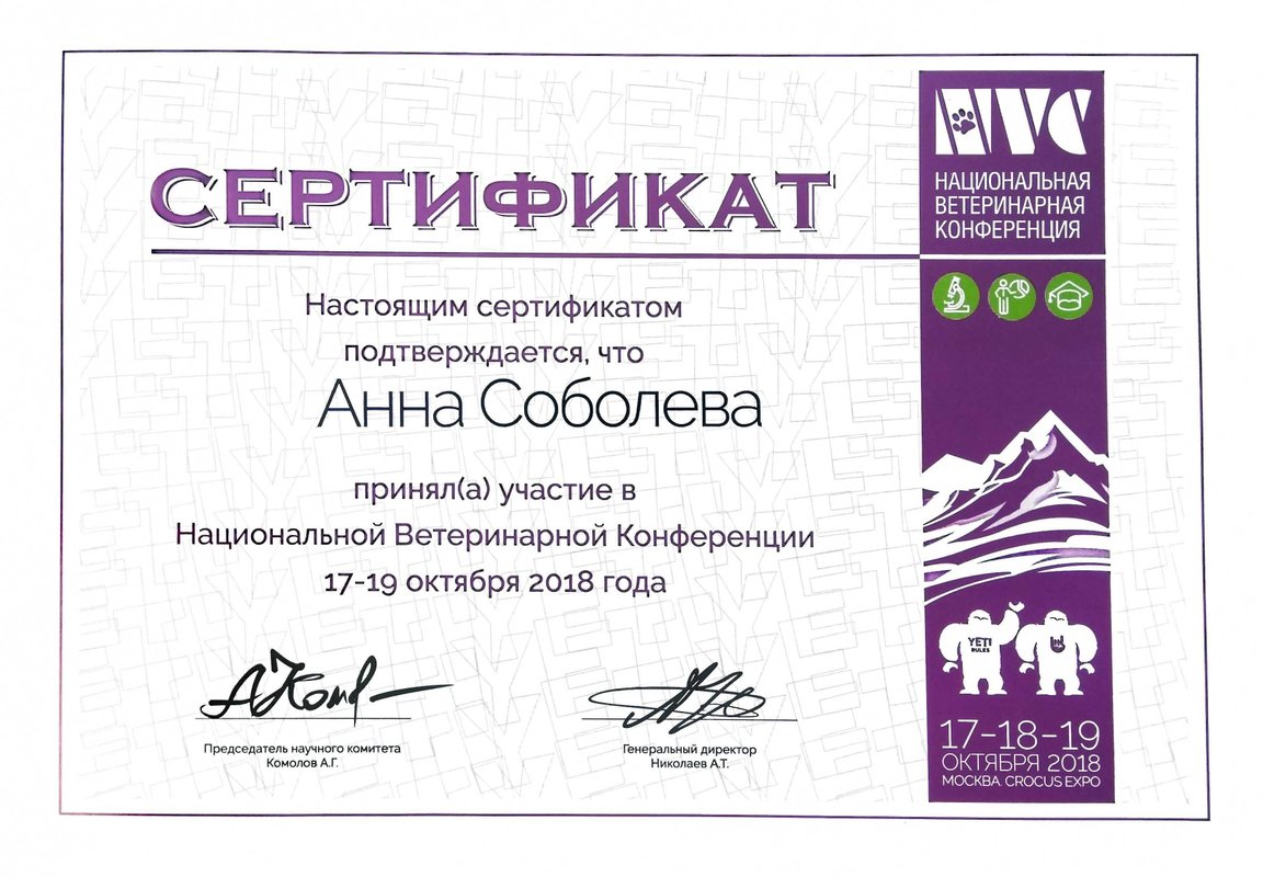 Документ или сертификат