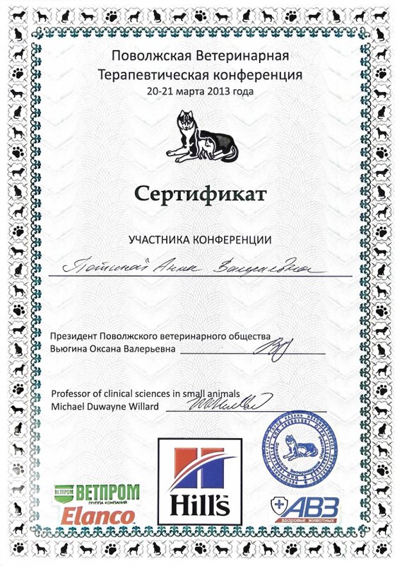 Документ или сертификат