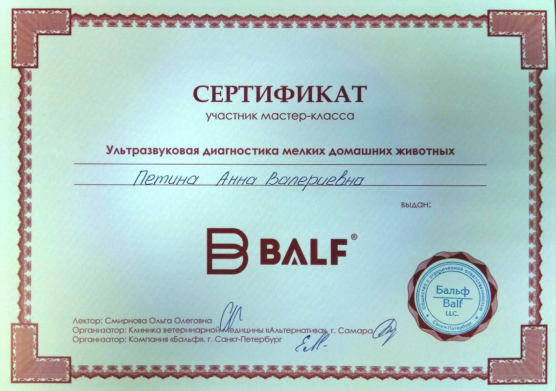 Документ или сертификат