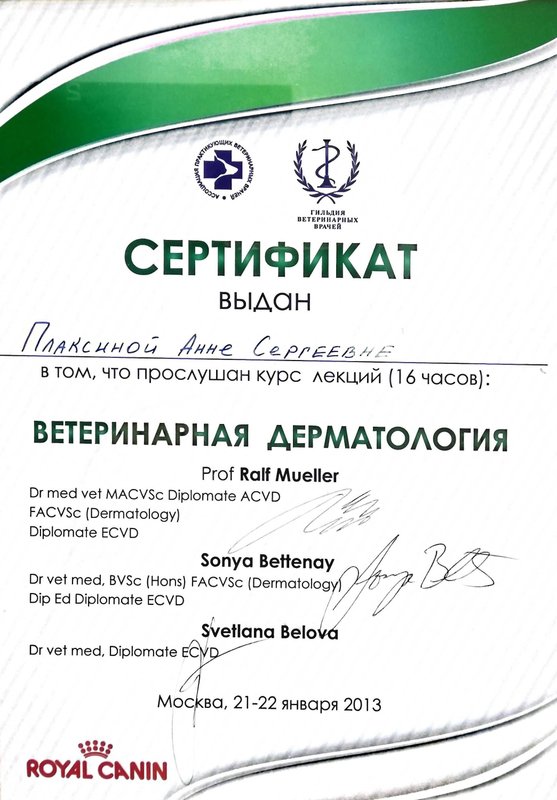 Документ или сертификат