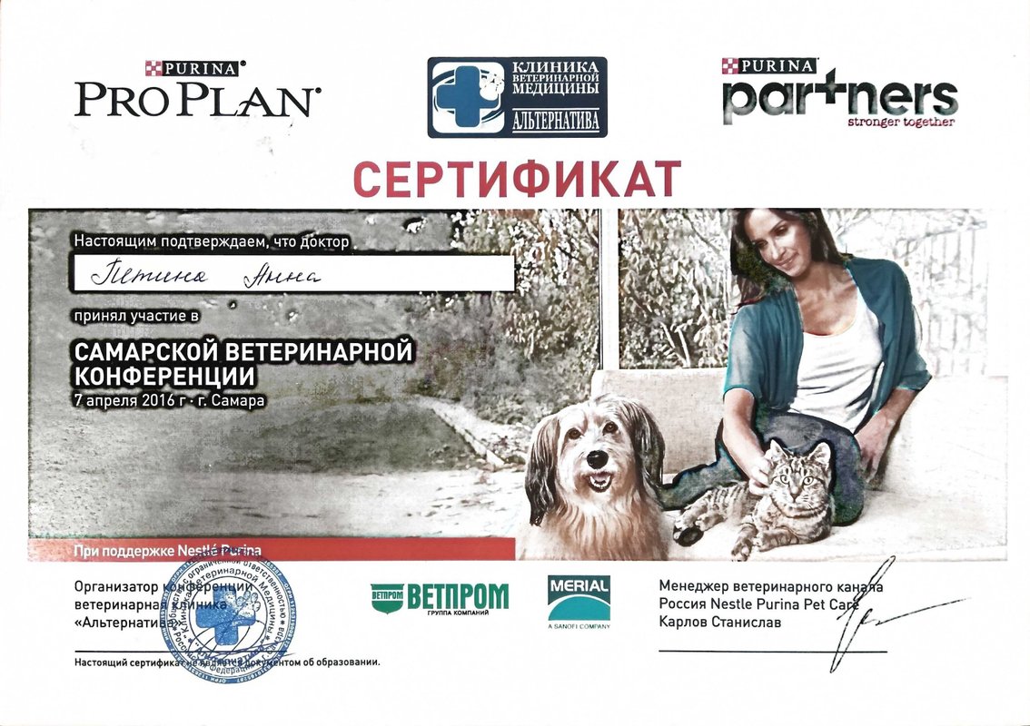 Документ или сертификат