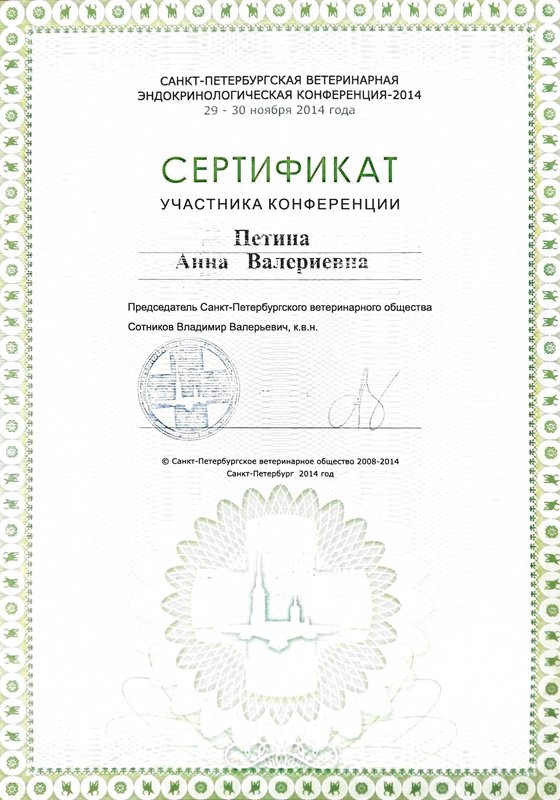 Документ или сертификат