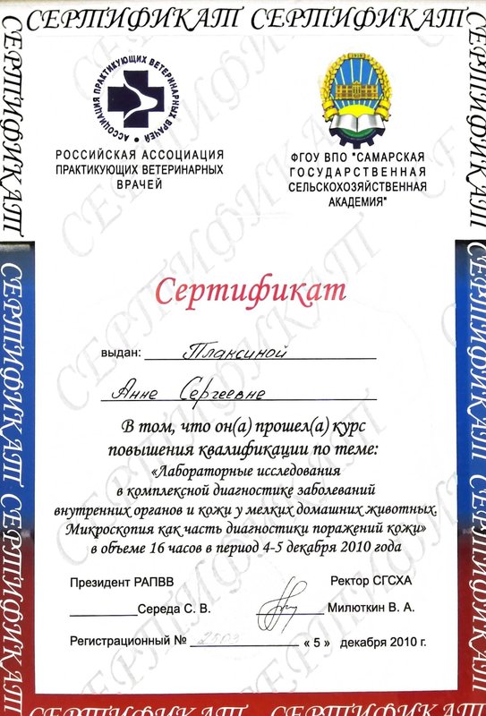 Документ или сертификат