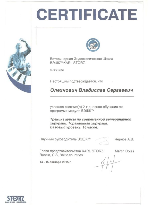 Документ или сертификат