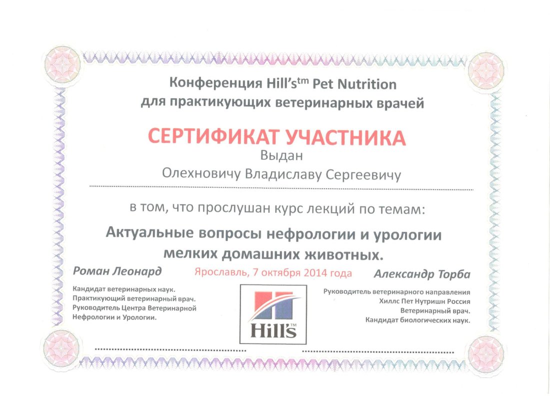 Документ или сертификат
