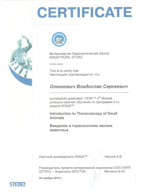 Документ или сертификат