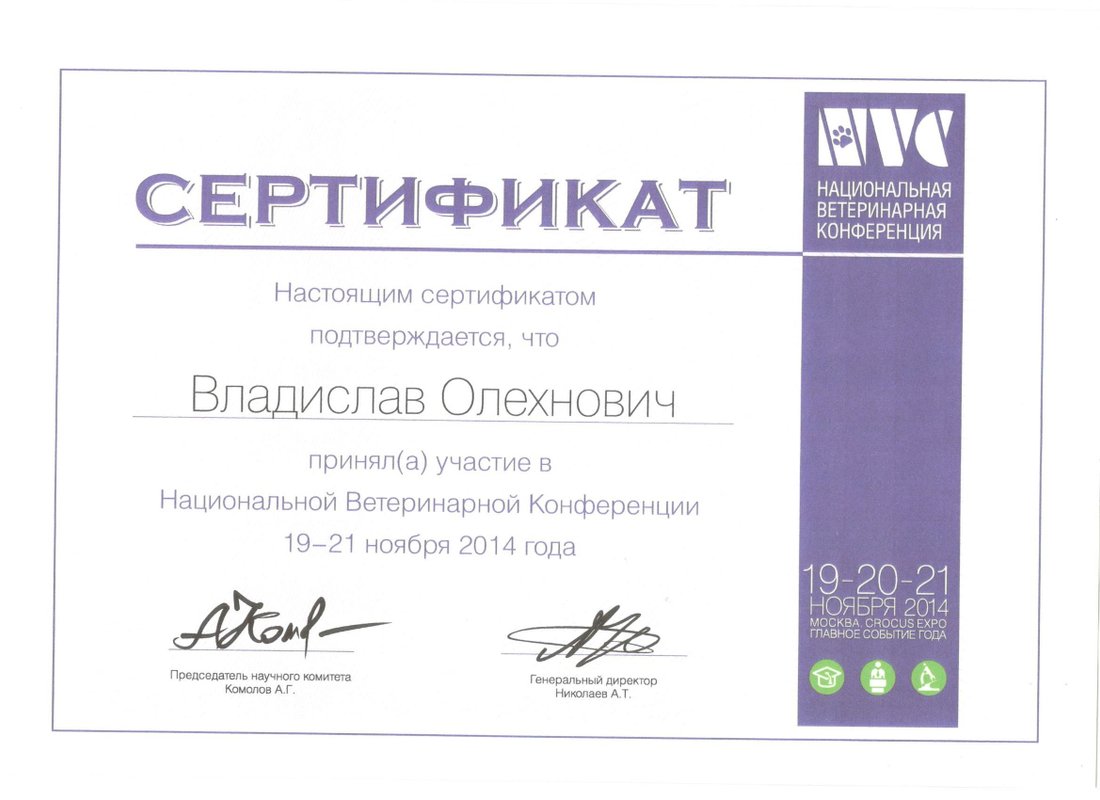Документ или сертификат
