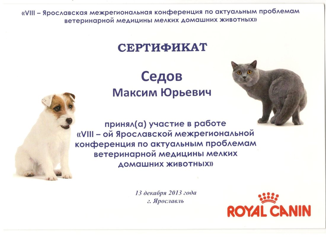 Фото врача