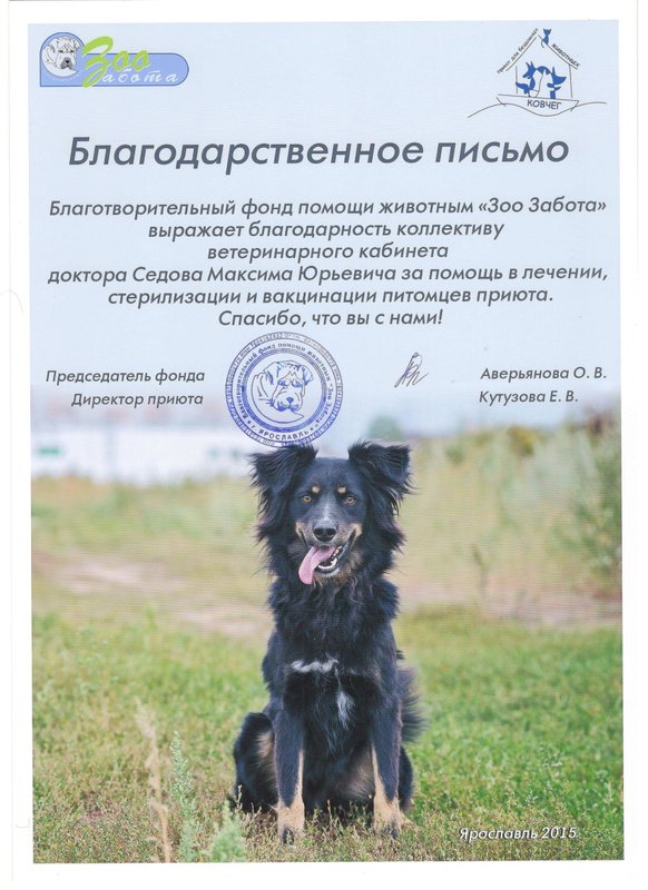 Фото врача