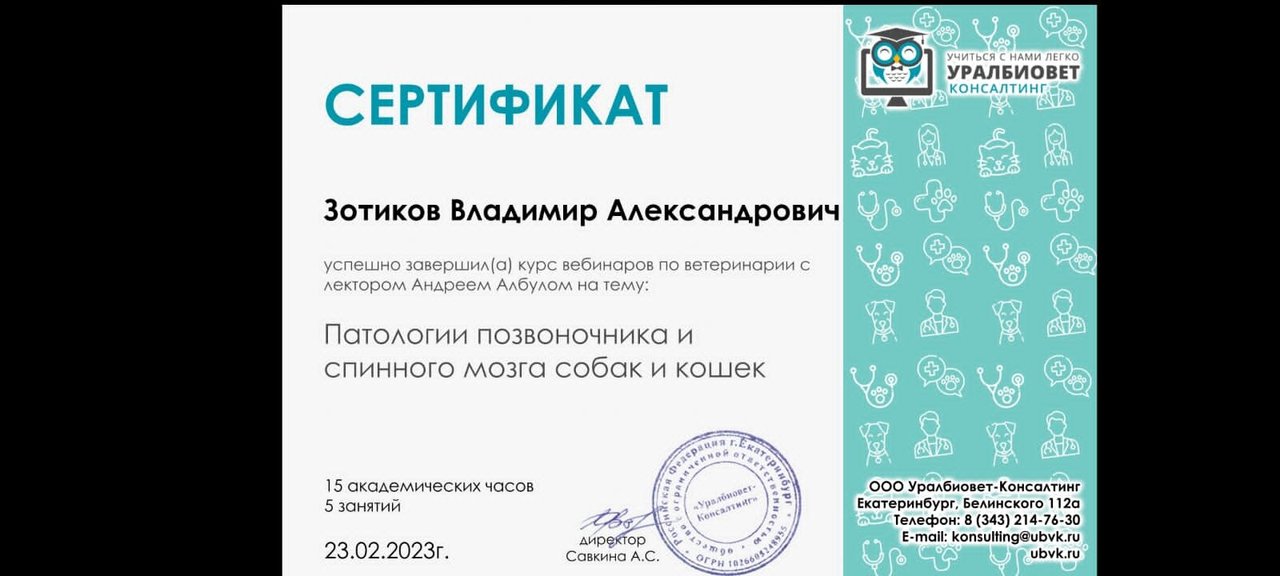 Документ или сертификат