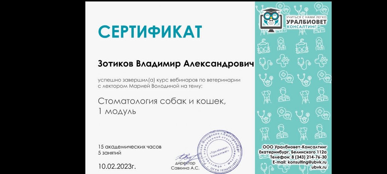 Документ или сертификат