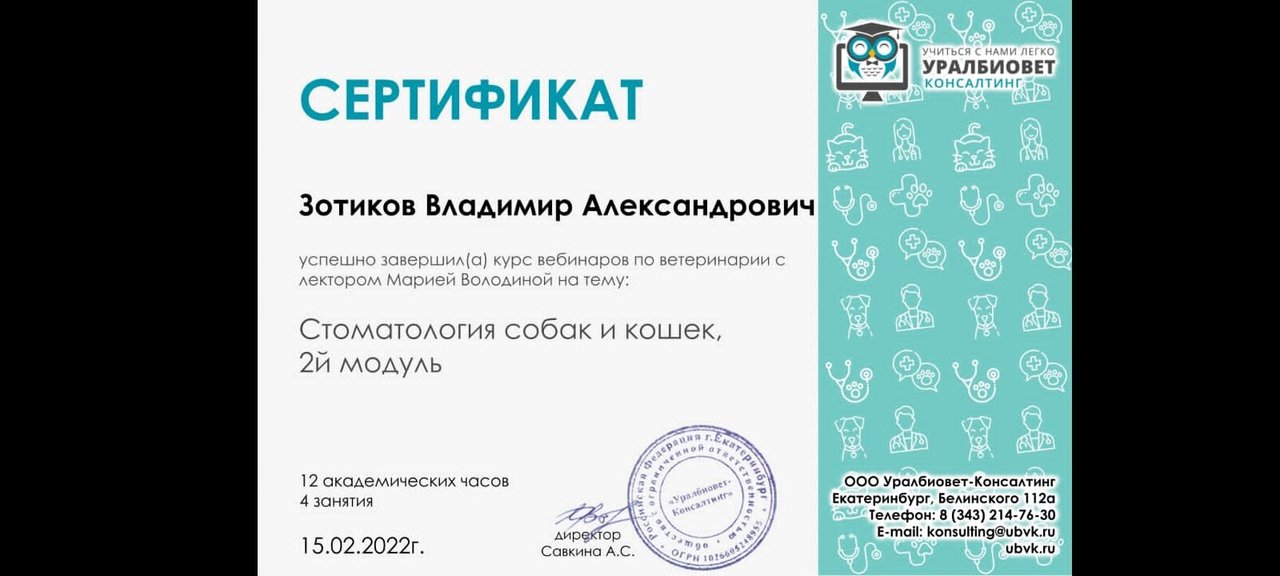 Документ или сертификат