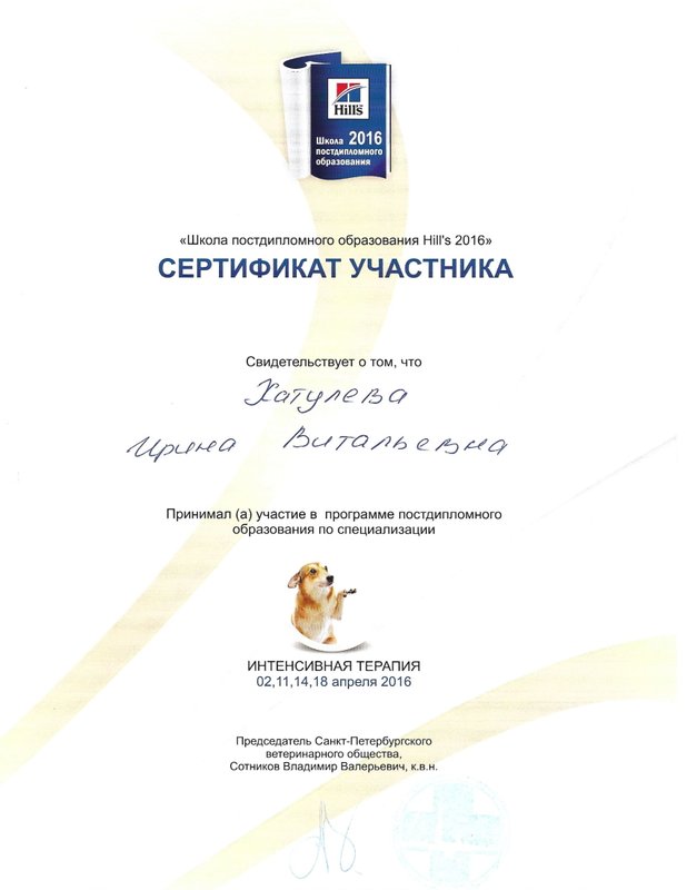 Документ или сертификат