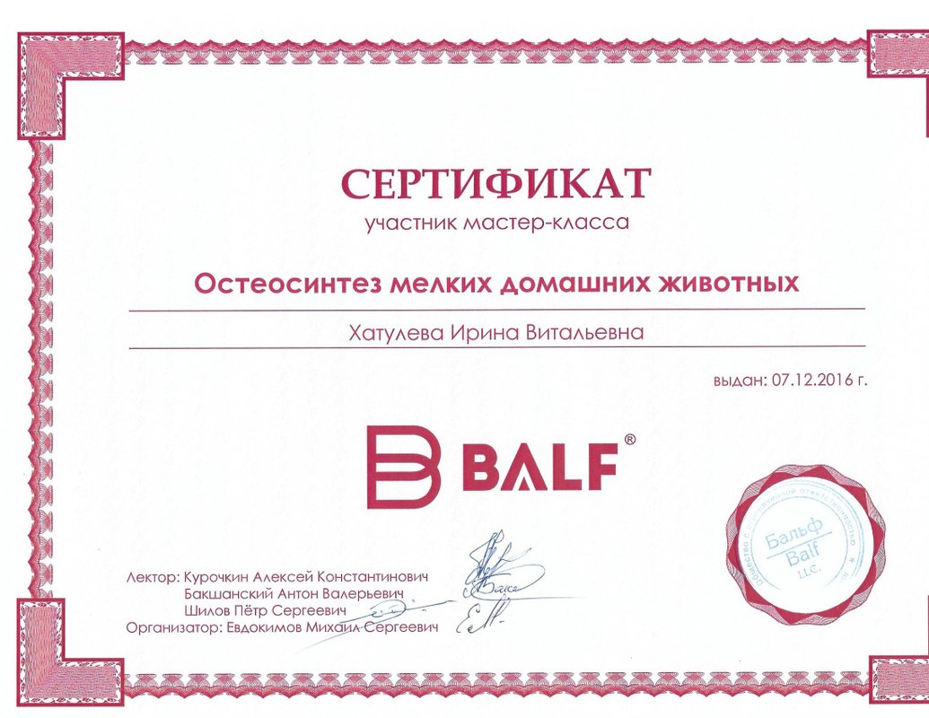 Документ или сертификат