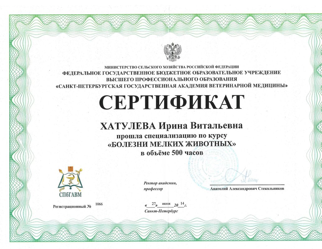 Документ или сертификат