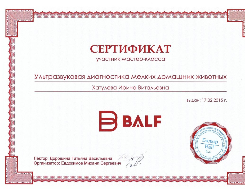Документ или сертификат