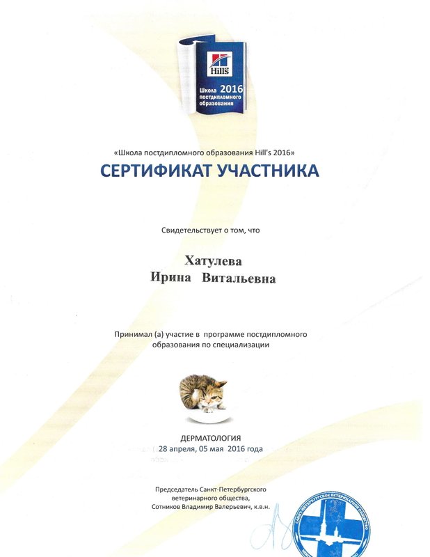 Документ или сертификат